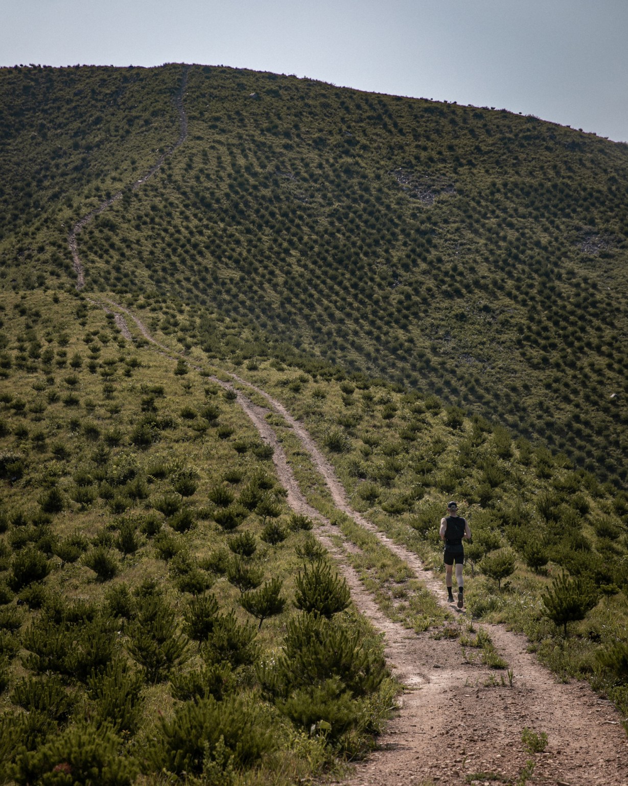 DISTANCE Gallery Image 5